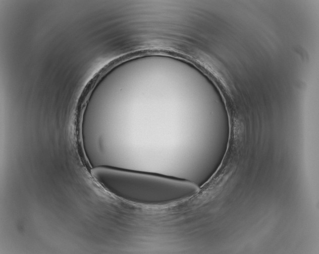 X0000111161068200906301053