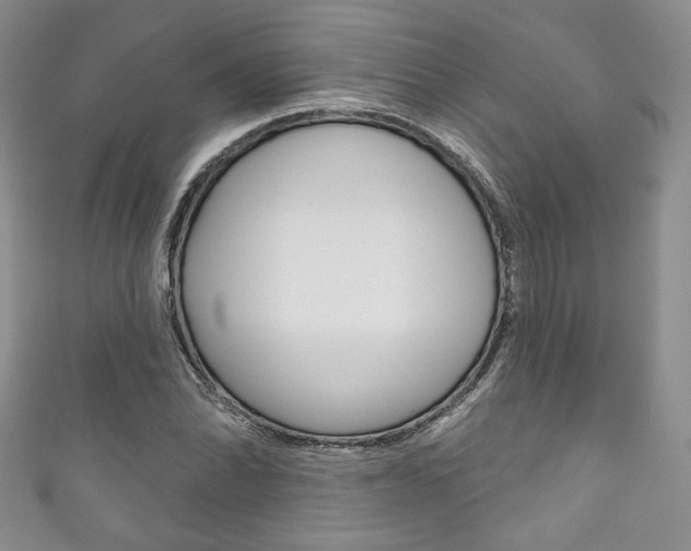 X0000111161070200906301053