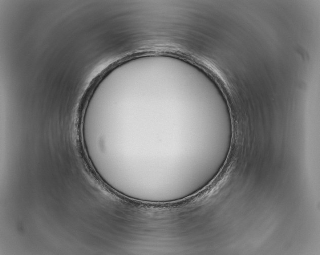 X0000111161071200906301053