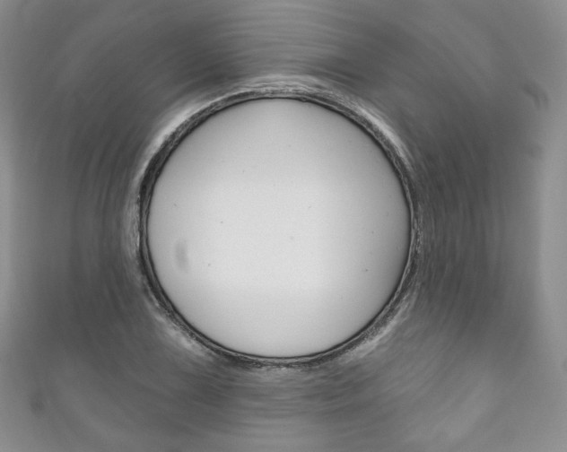 X0000111161075200906301053