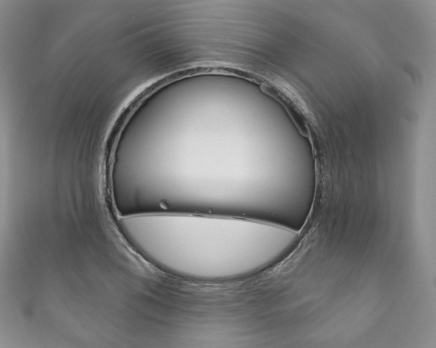 X0000111161076200906301053