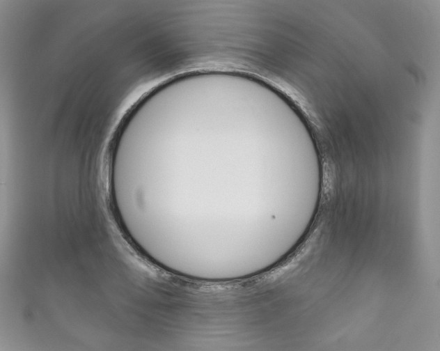X0000111161078200906301053
