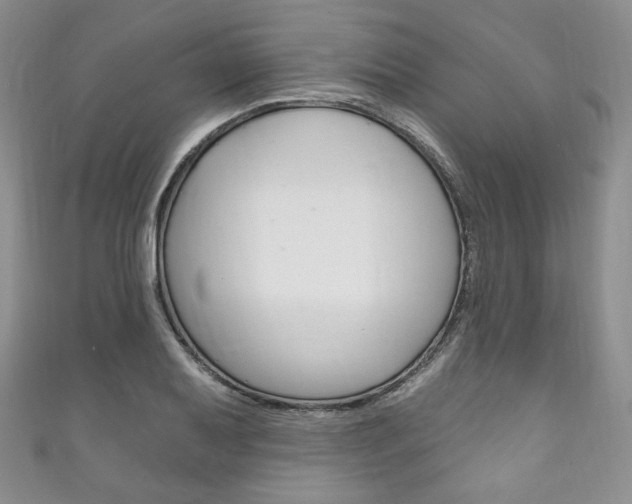 X0000111161079200906301053