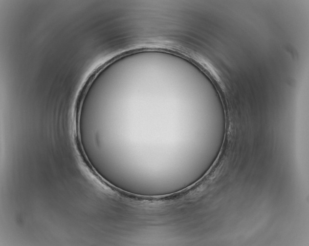 X0000111161080200906301053