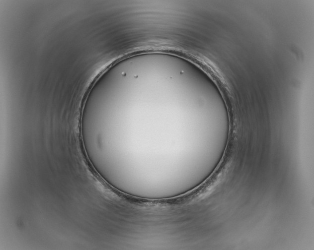 X0000111161081200906301053