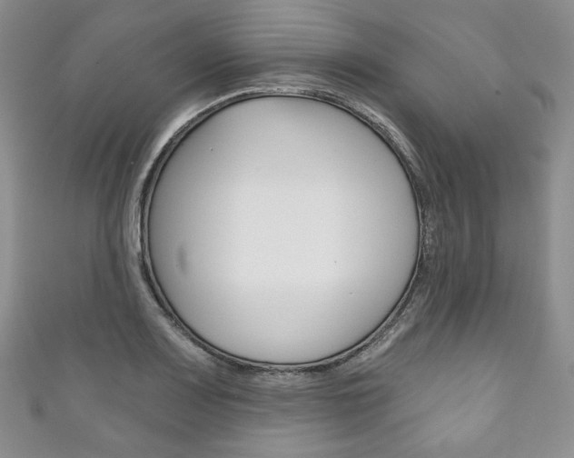 X0000111161083200906301053