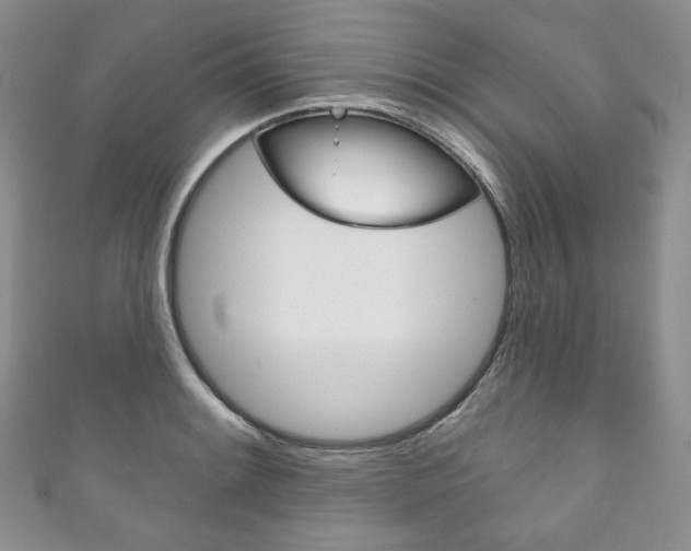 X0000111161084200906301053