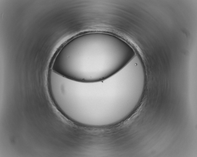 X0000111161085200906301053