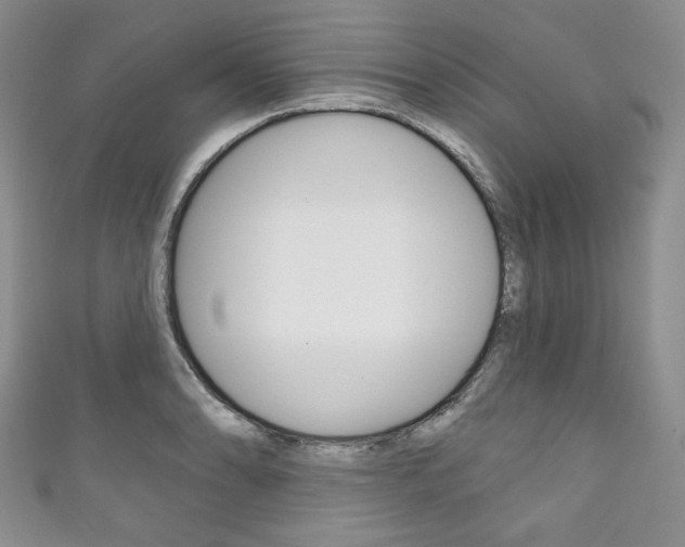 X0000111161086200906301053