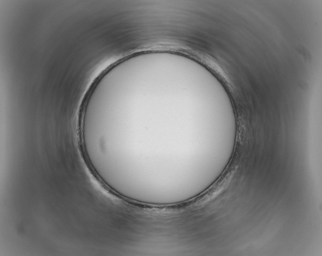 X0000111161087200906301053