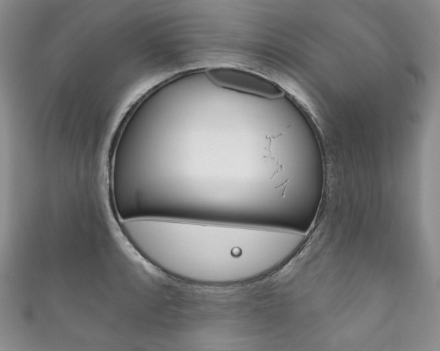 X0000111161088200906301053