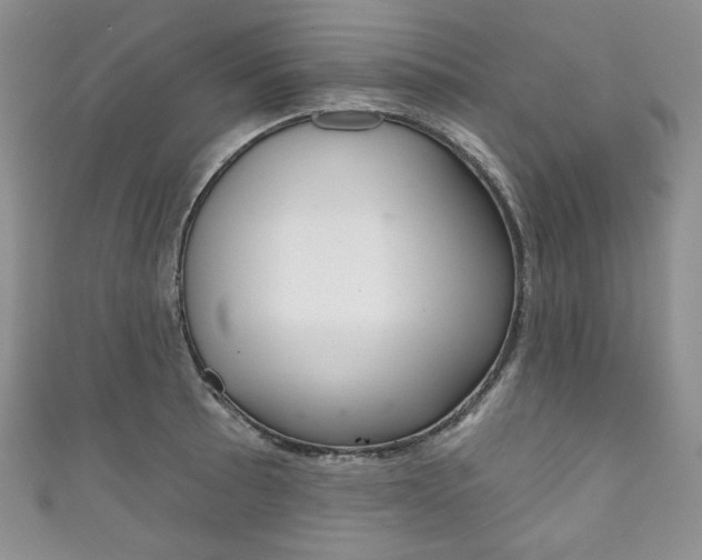 X0000111161089200906301053