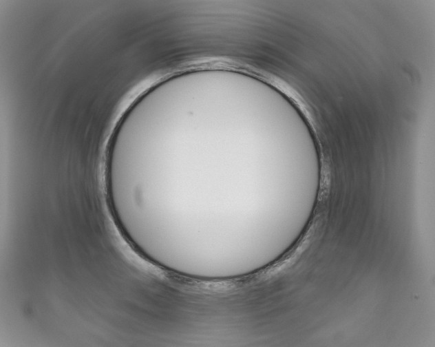 X0000111161090200906301053