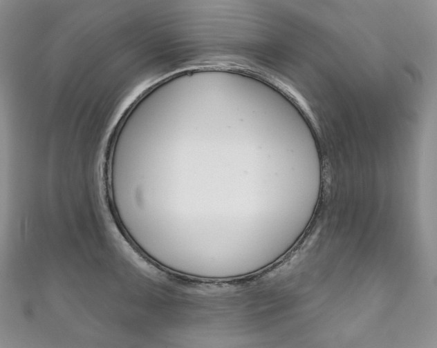 X0000111161091200906301053