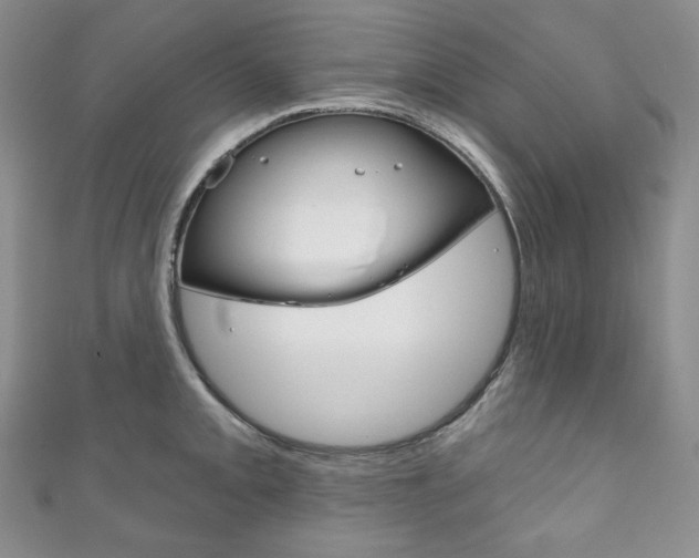 X0000111161093200906301053