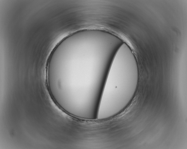 X0000111161095200906301053