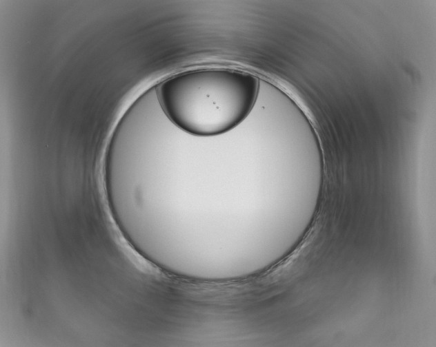 X0000111161098200906301053