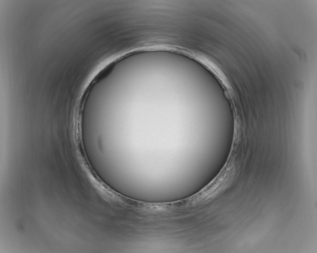 X0000111161101200906301053