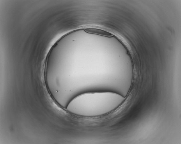 X0000111161102200906301053
