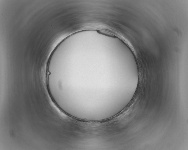 X0000111161103200906301053