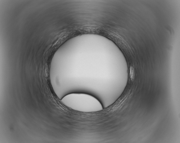 X0000111161107200906301052