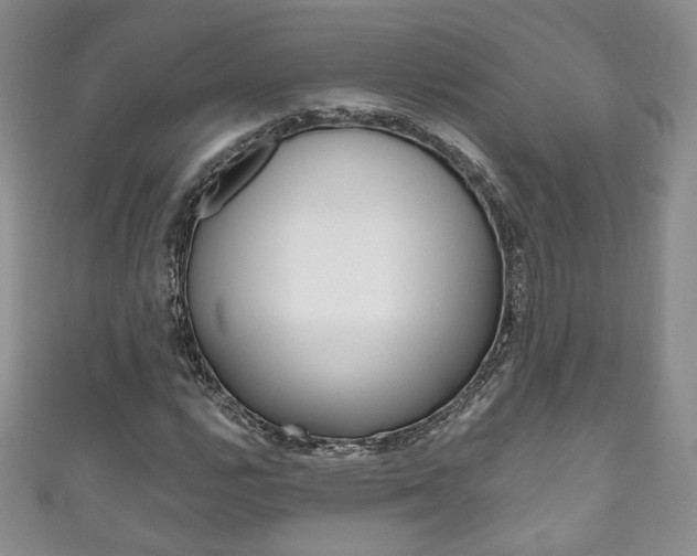 X0000111161112200906301052