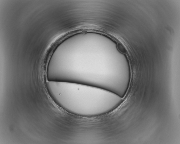 X0000111161115200906301052