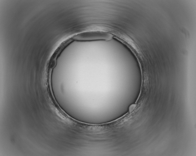 X0000111161116200906301052