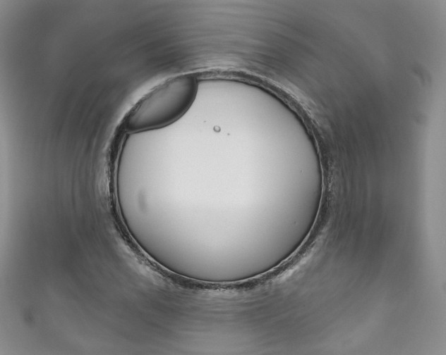X0000111161118200906301052
