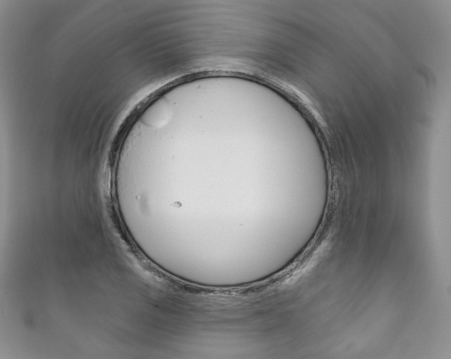 X0000111161125200906301053