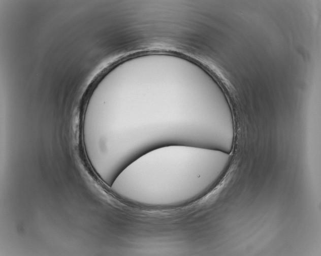X0000111161126200906301053