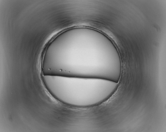 X0000111161127200906301053