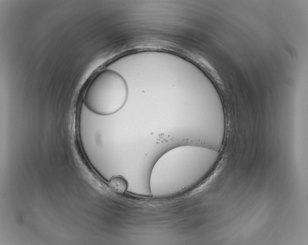 X0000111161130200906301053