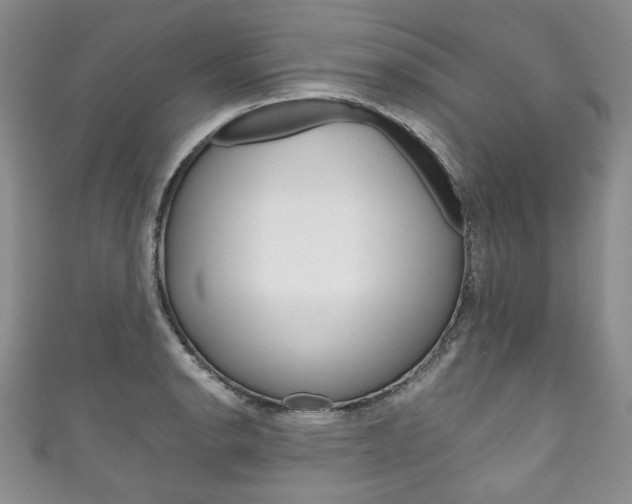 X0000111161134200906301053