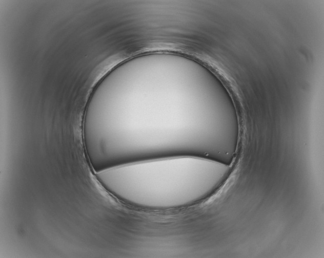 X0000111161137200906301053