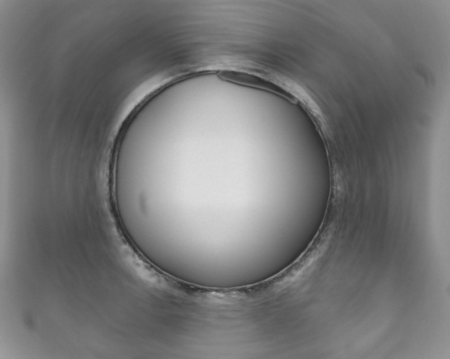 X0000111161138200906301053