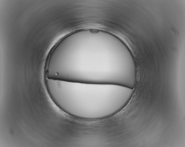 X0000111161139200906301053