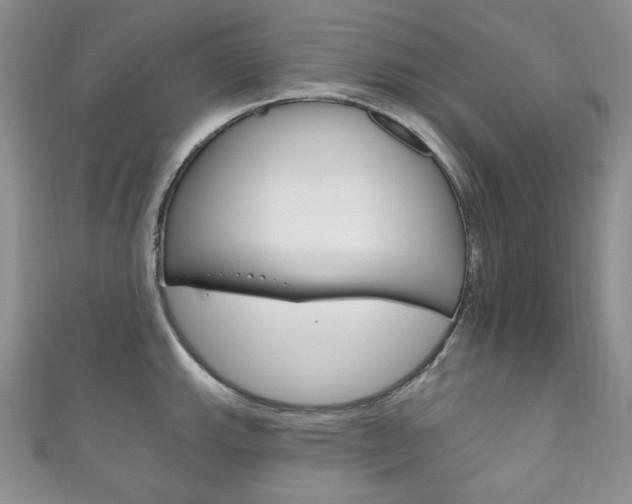 X0000111161143200906301053