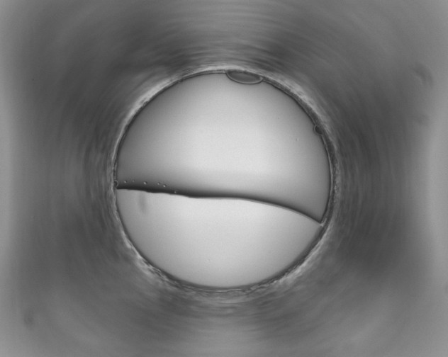 X0000111161145200906301053