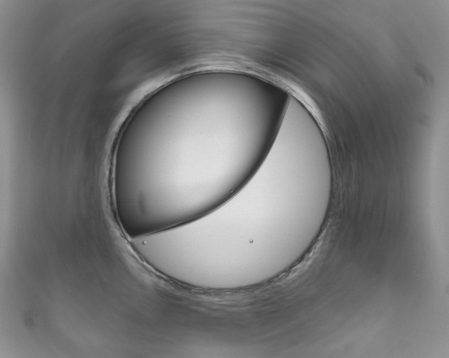 X0000111161146200906301053