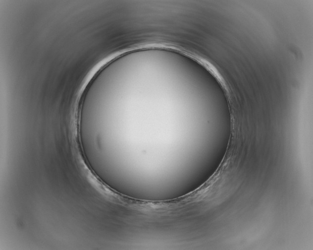 X0000111161148200906301053