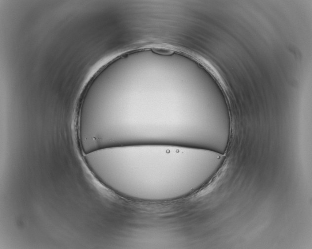 X0000111161149200906301053