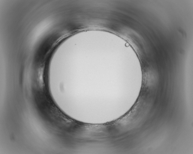 X0000111161150200906301053