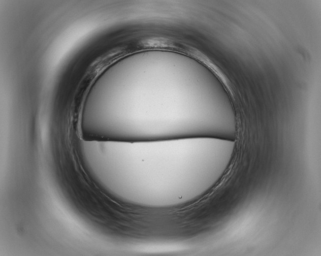 X0000111161151200906301053