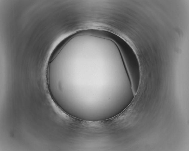 X0000111161152200906301053