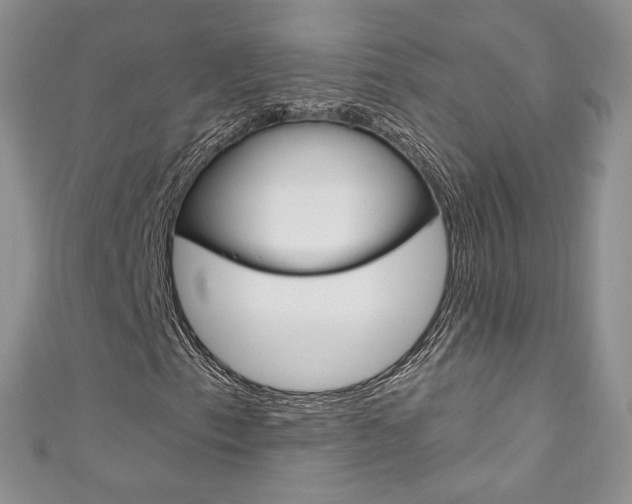 X0000111161153200906301052