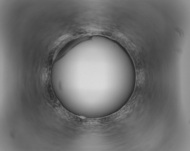 X0000111161157200906301052