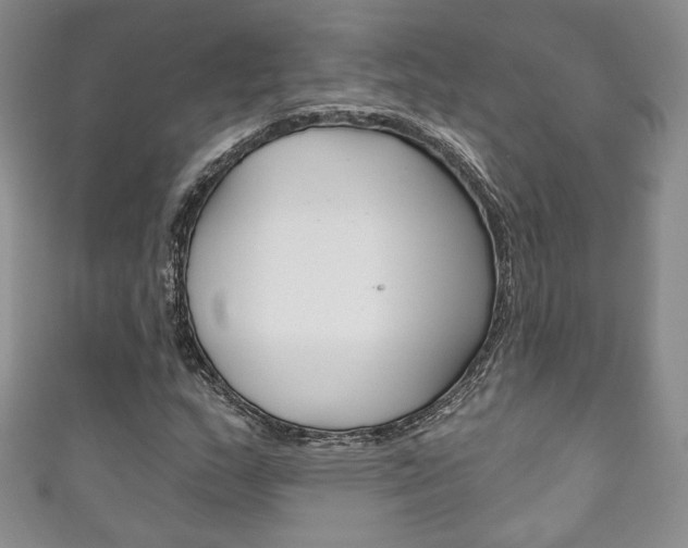 X0000111161159200906301052