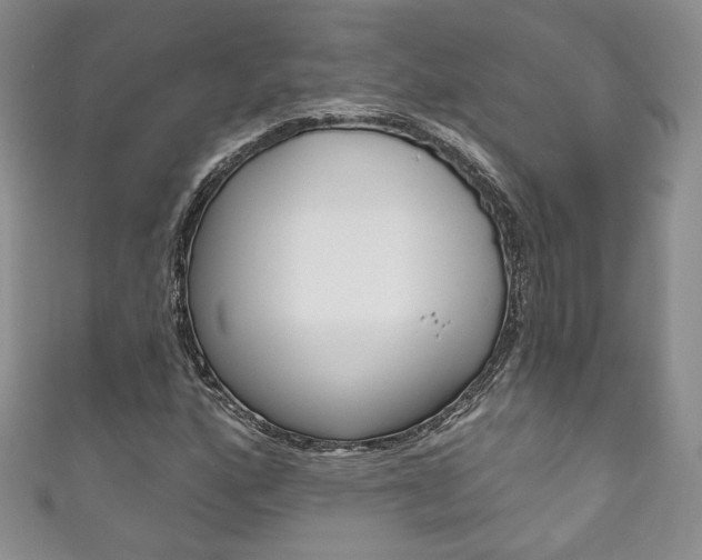 X0000111161160200906301052
