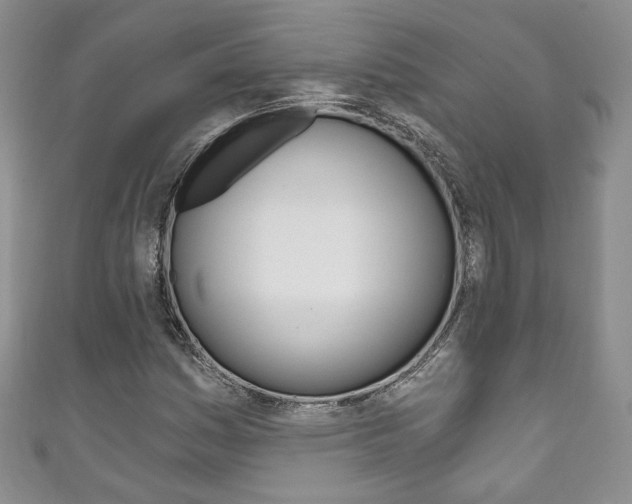 X0000111161161200906301052